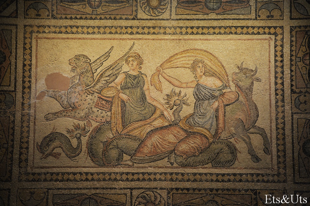 Mosaico12