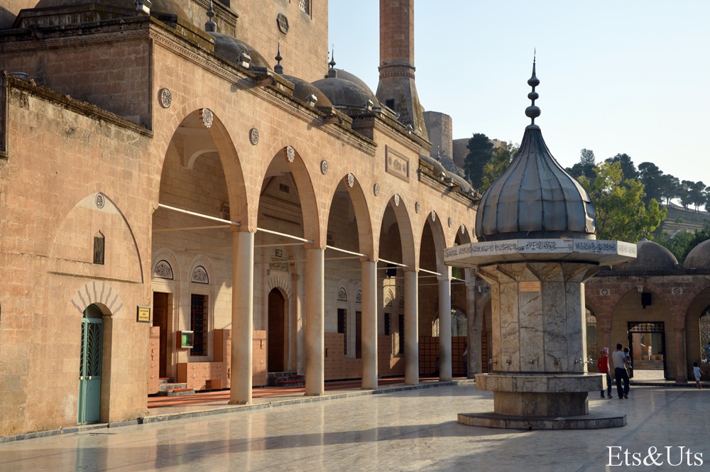 Urfa6